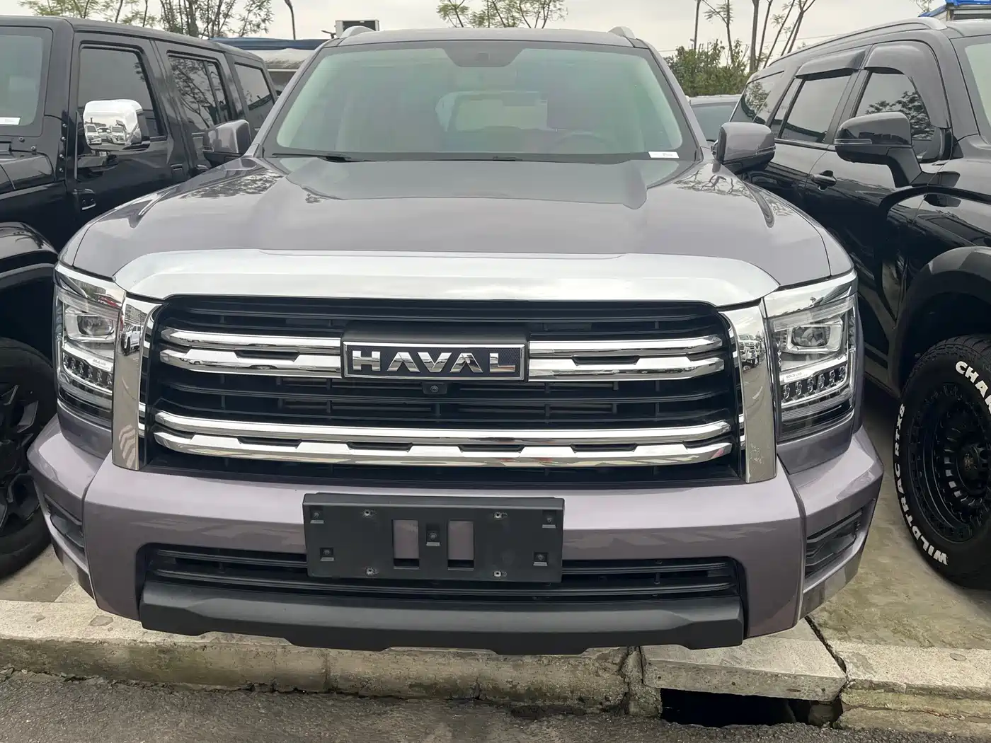 Haval H5 2023 2023 2.0T Automatic 4WD Leading Edition Diesel