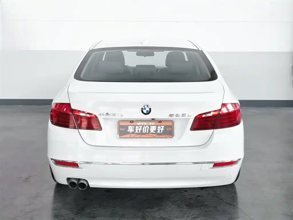 BMW 5 Series 2014 525Li Luxury Design Package фото 4