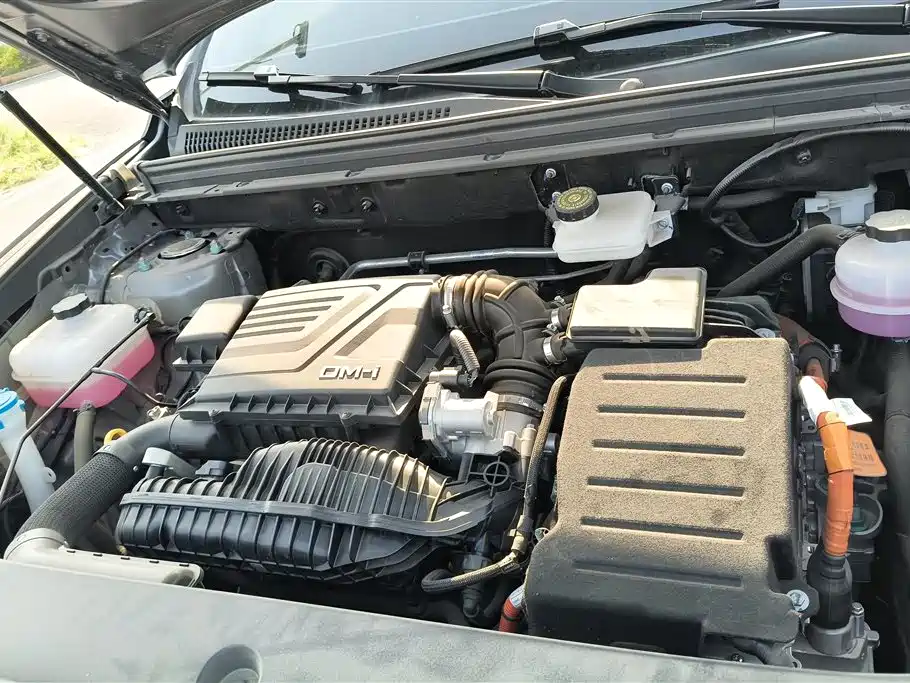 BYD SONGJIANG NEW ENERGY