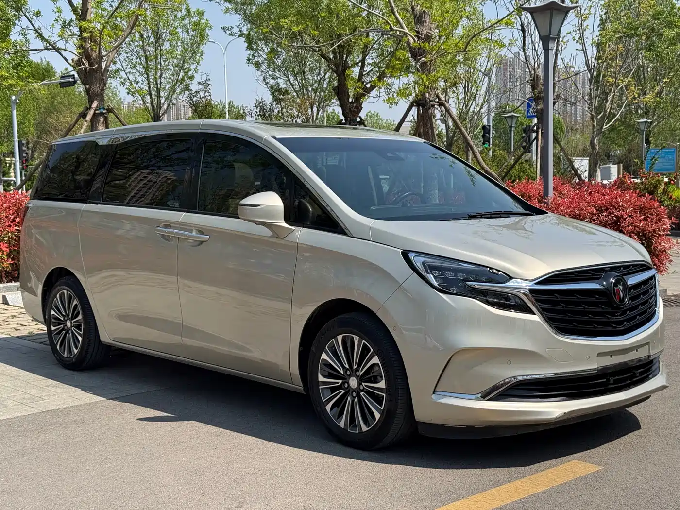 Buick GL8 2021 ES Landlord 653T Luxury фото 3