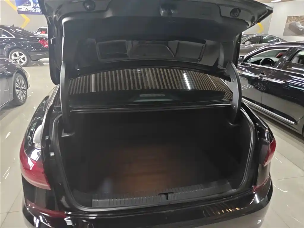 Volkswagen Passat 2022 330TSI Starlight Luxury Edition фото 12