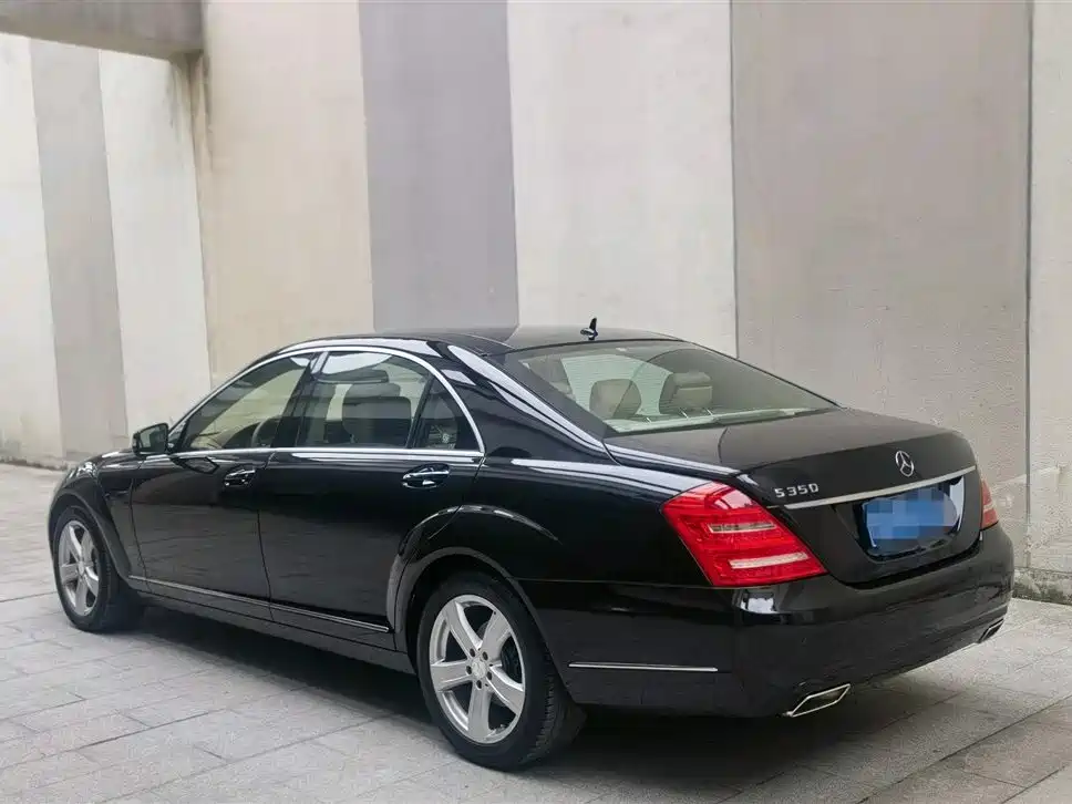 Mercedes-Benz S-Class 2010 S 350 L Luxury фото 5