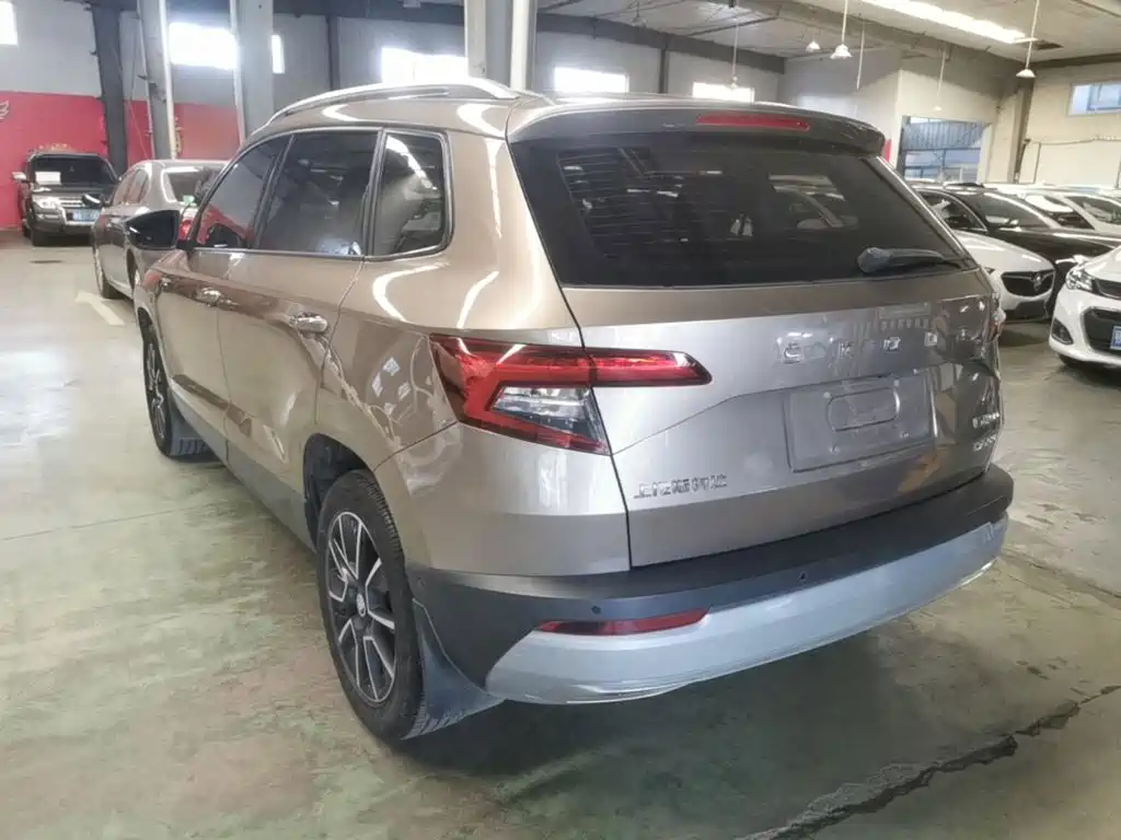 Фото 5 - Škoda Karoq