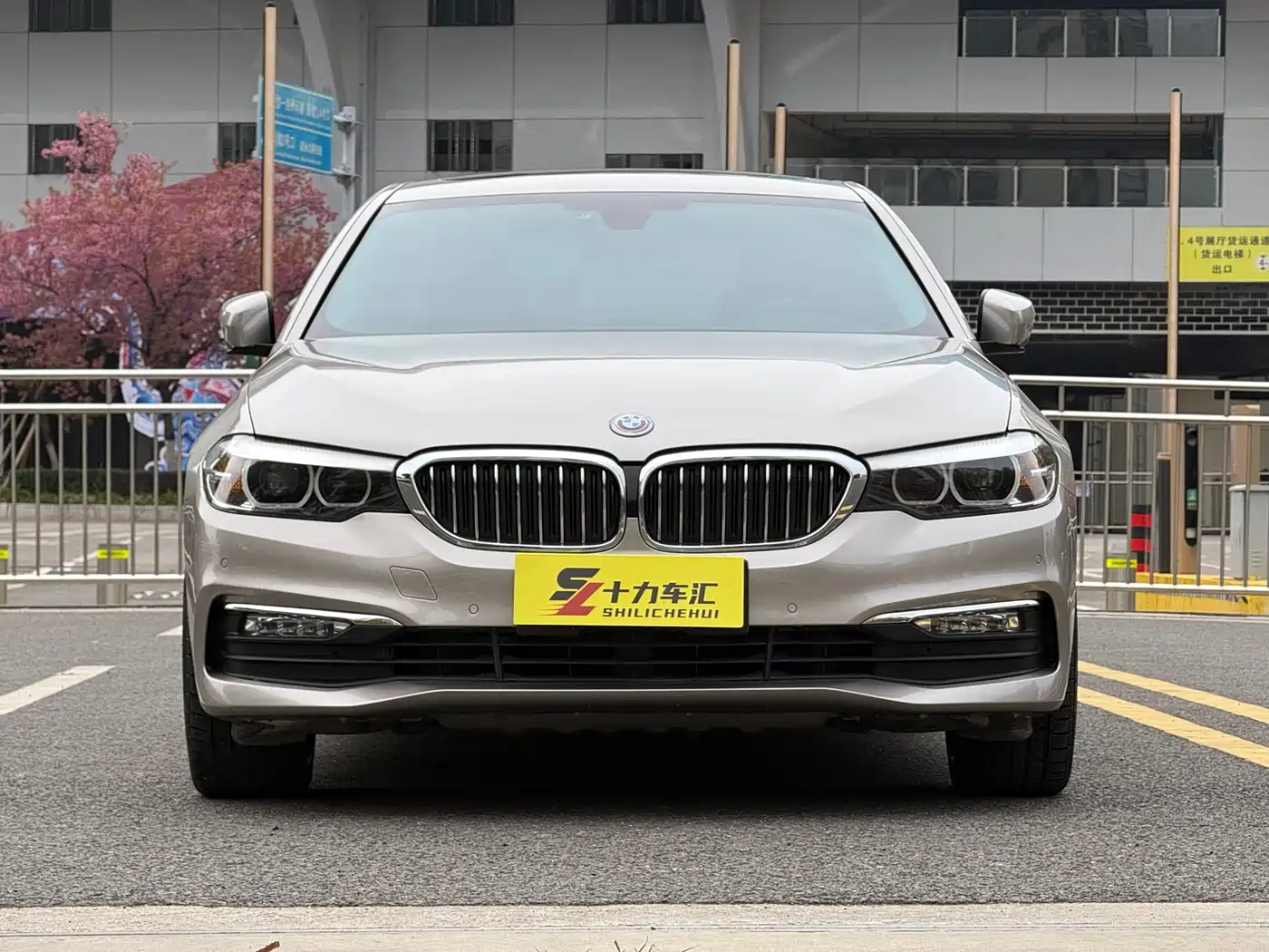 BMW 5 Series 2018 528Li Launch Special Edition фото 2