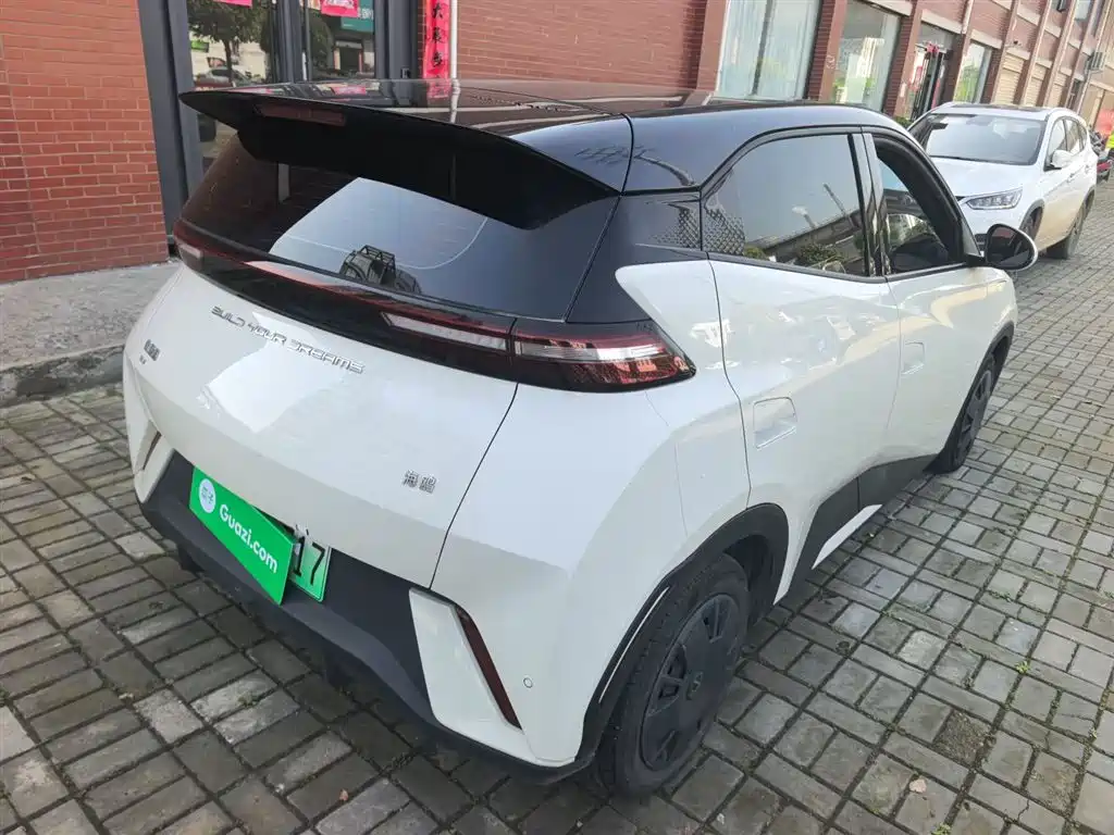BYD Seagull 2023 Vitality Edition фото 7