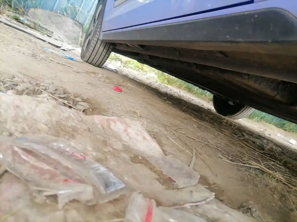 Baojun KiWi EV 2023 2022 Designer Lite NMC