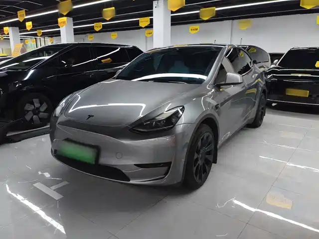 Tesla Model Y 2024 Rear-Wheel Drive Version