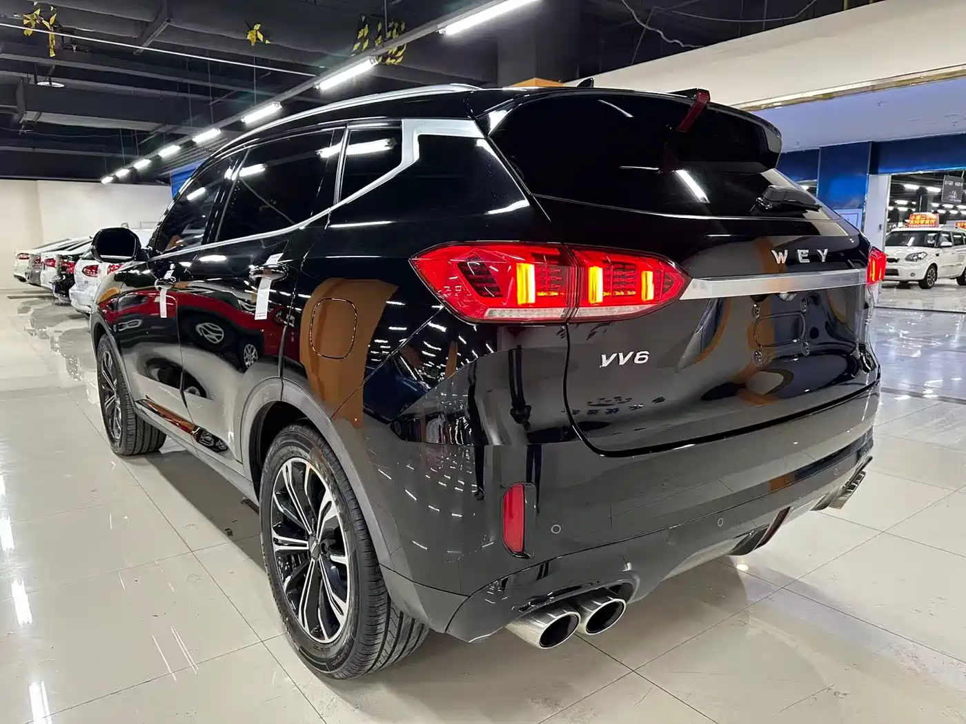 WEI PAI WEI BRAND VV6