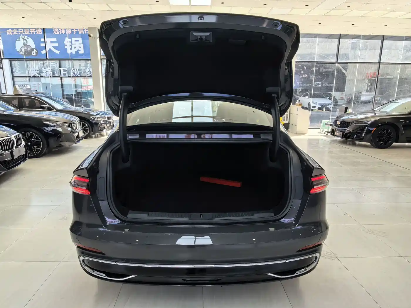 Lincoln Z 2023 2022 Model iCool Elegance Edition