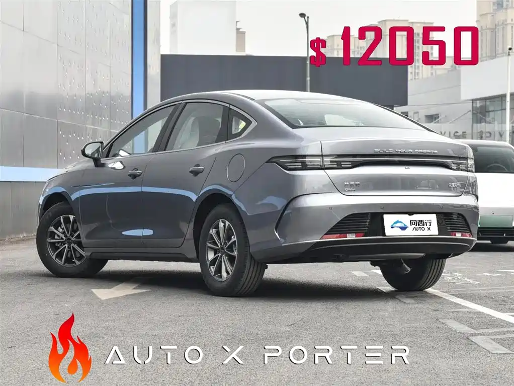 BYD Destroyer 05 2024 Glory Edition DM-i 55KM Luxury фото 4