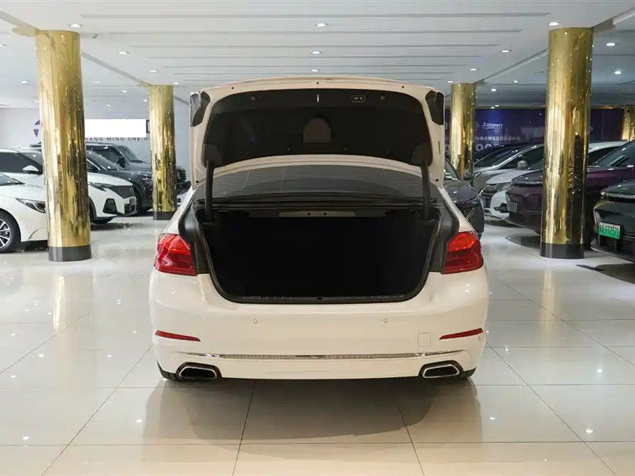 BMW 5 Series 2020 530Li Premium Luxury Package фото 7