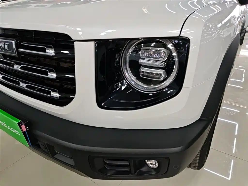 Haval Big Dog 2022 1.5T DCT FWD Border Collie Edition фото 24