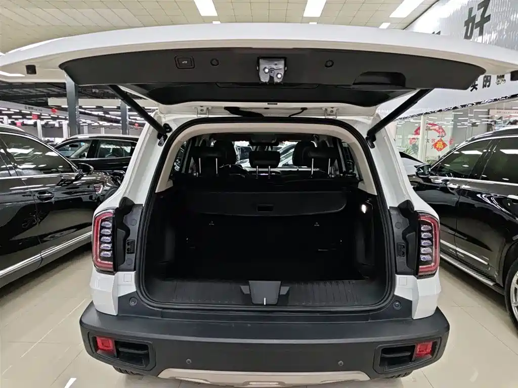 Haval Big Dog 2022 1.5T DCT FWD Border Collie Edition фото 19