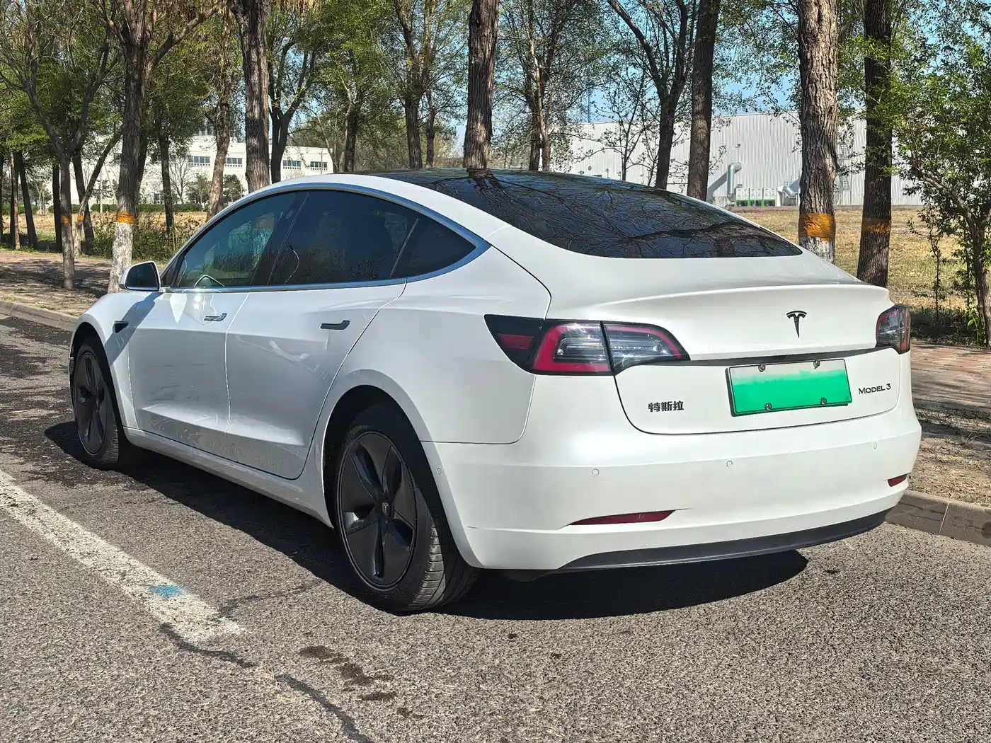 TESLA MODEL 3