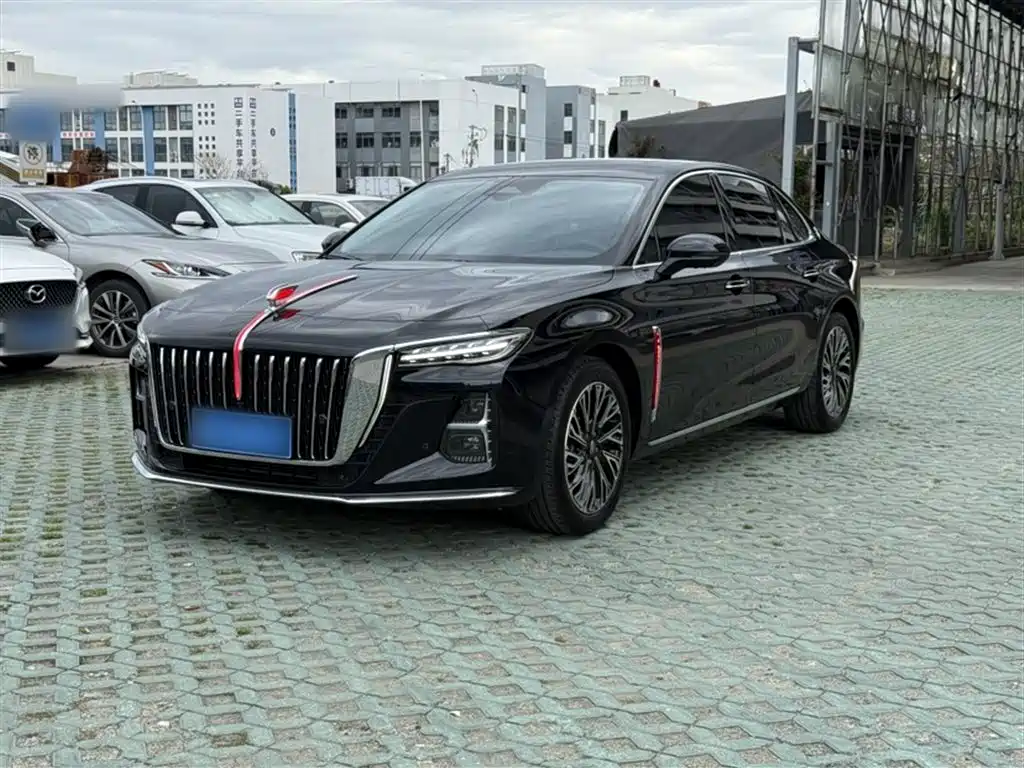 Hongqi H5 2024 2.0T Automatic Smart Connect Flag Smooth Edition фото 2