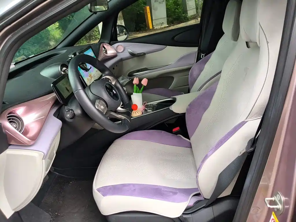 BYD Dolphin 2021 2021 401km Knight Edition