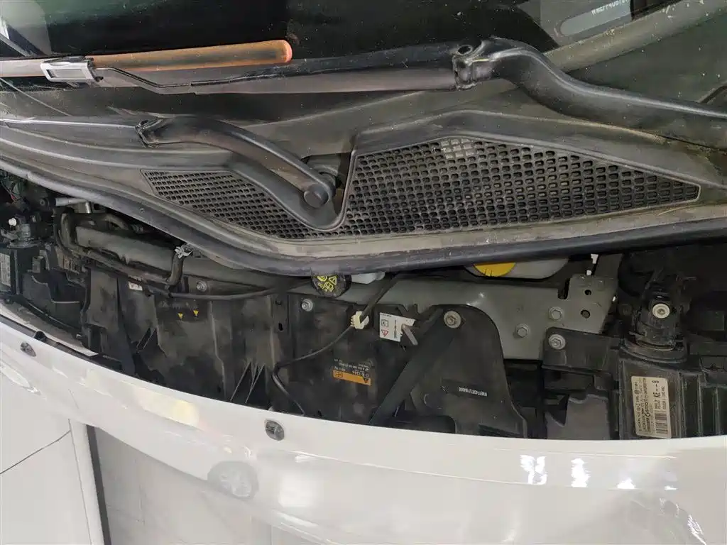 smart forfour 2019 2018 1.0L 52kW Agile Edition