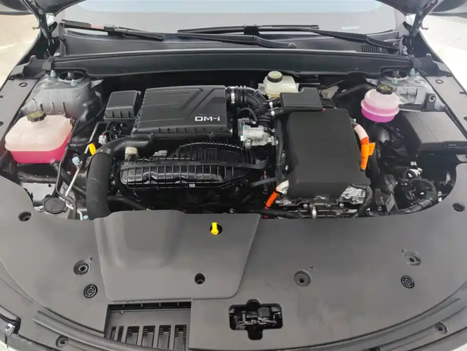 BYD Destroyer 05 2024 Glory Edition DM-i 55KM Luxury фото 10