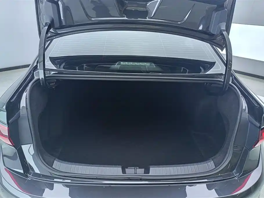 Volkswagen Sagitar 2025 300TSI DSG Surpass Edition фото 4