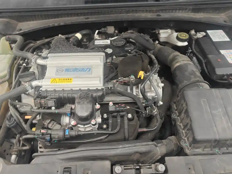 GAC Trumpchi Trumpchi Emkoo 2025 2024 Model 270T DCT Shadow Leopard S Edition