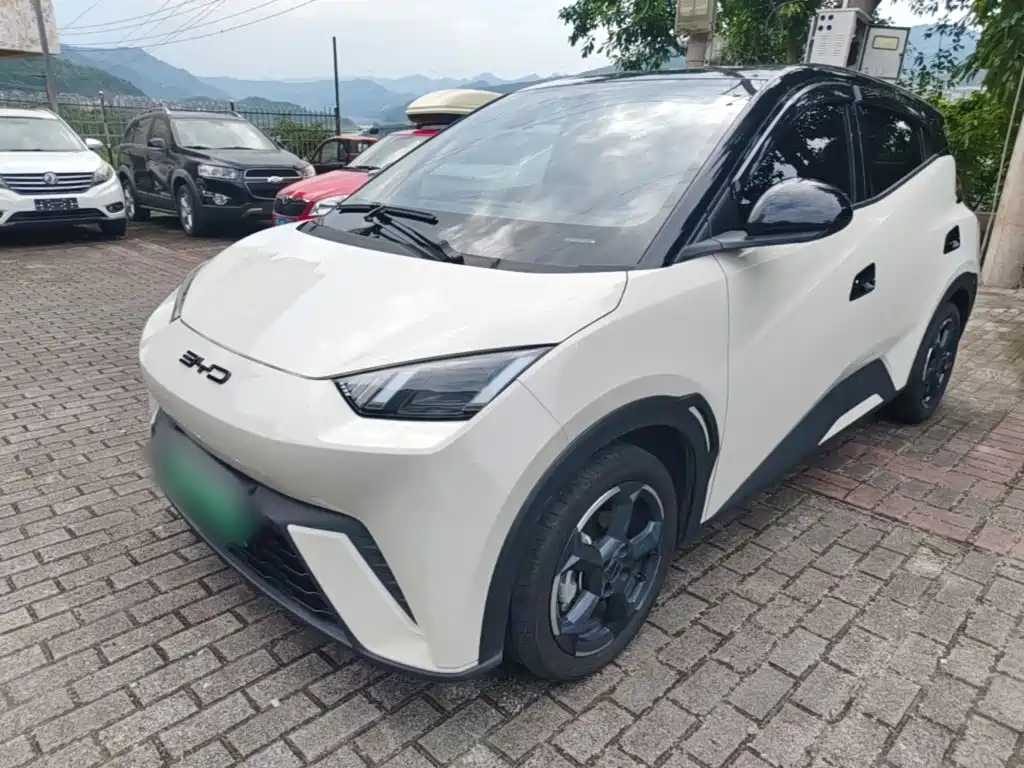 BYD Seagull 2023 Freedom Edition