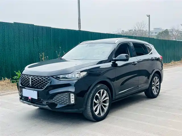 WEI PAI WEI BRAND VV6