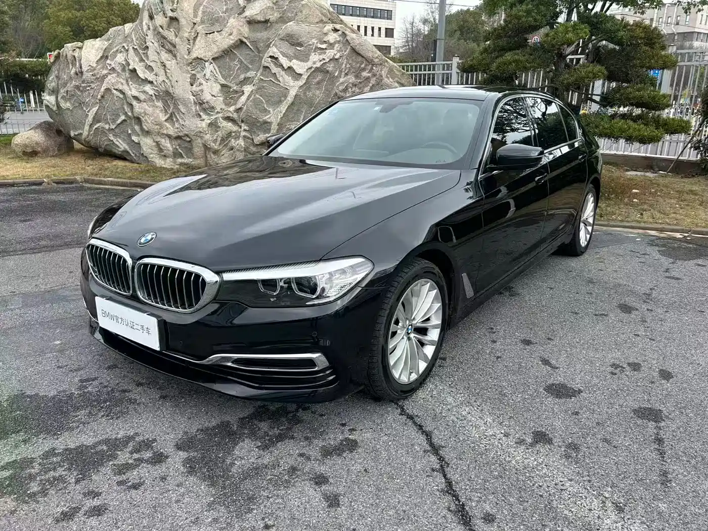 BMW 5 Series 2020 525Li Luxury Package