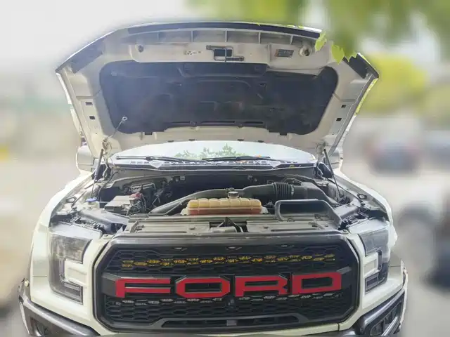 Ford F-150 Raptor 2019 3.5T Raptor Performance Edition — фото 3