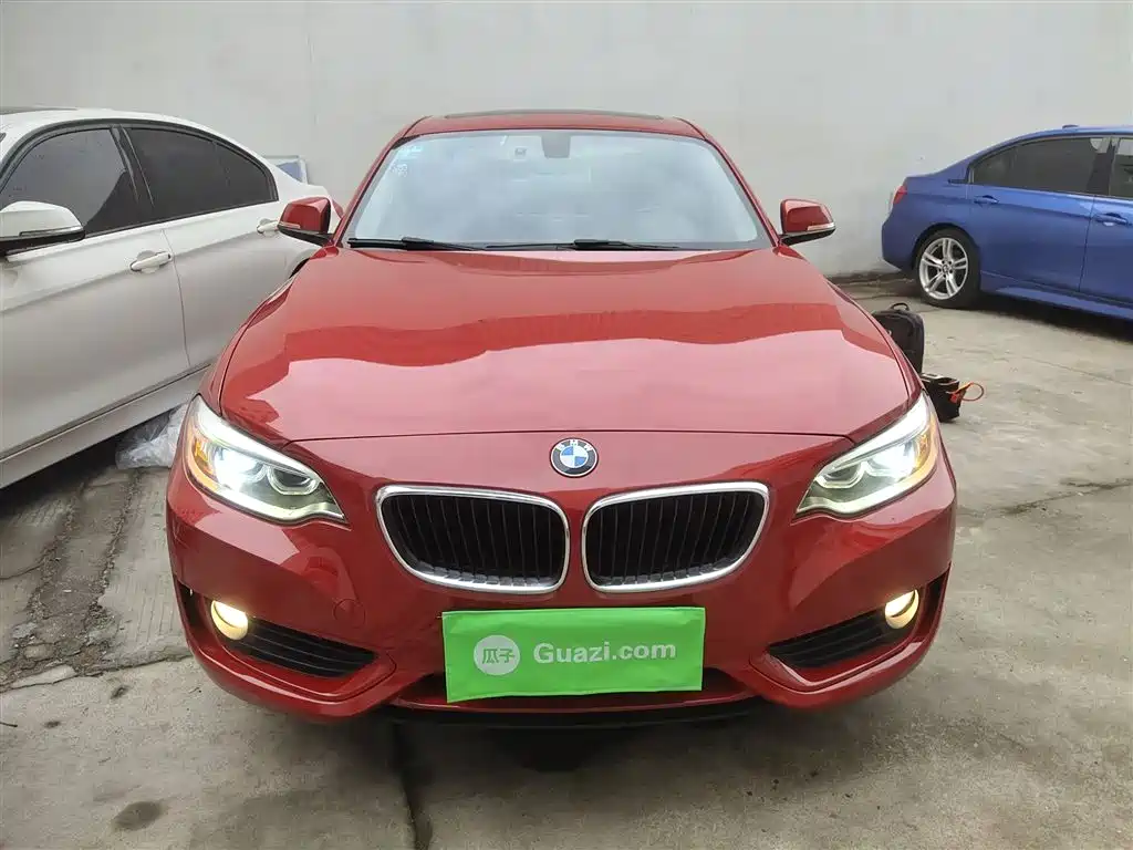 BMW 2 Series (Import) 2014 220i Leading фото 3