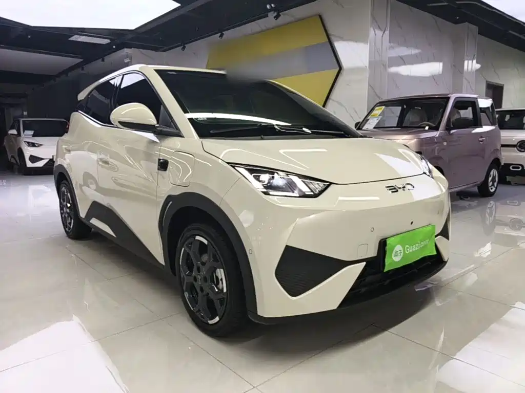 2026 BYD Seagull