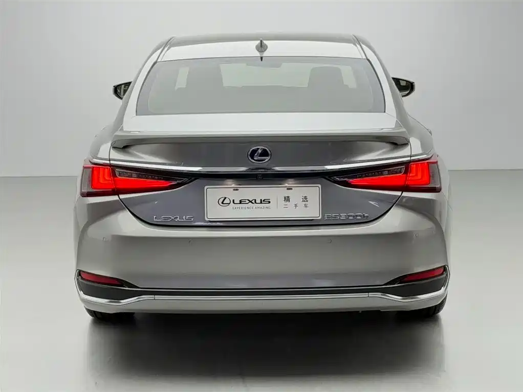 Lexus ES 2020 Model 300h Excellence Edition China V фото 19