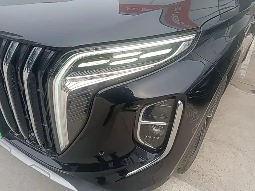 Photo 24 - Hongqi HS7 PHEV