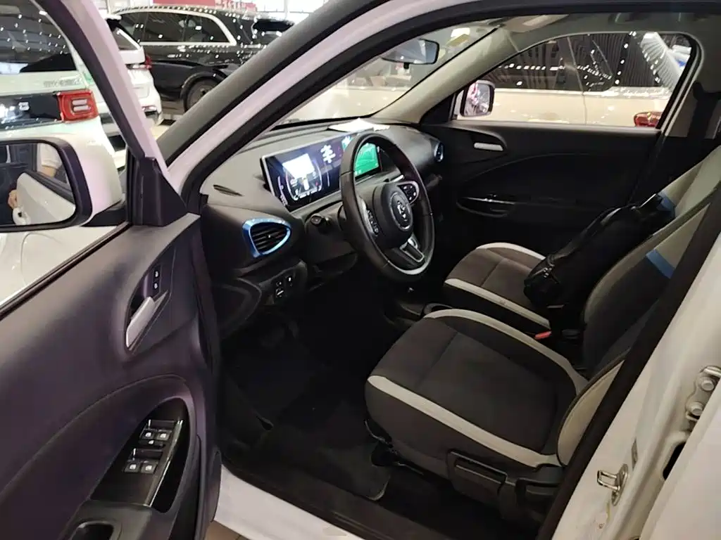 Ora White Cat 2021 2020 305km Luxury