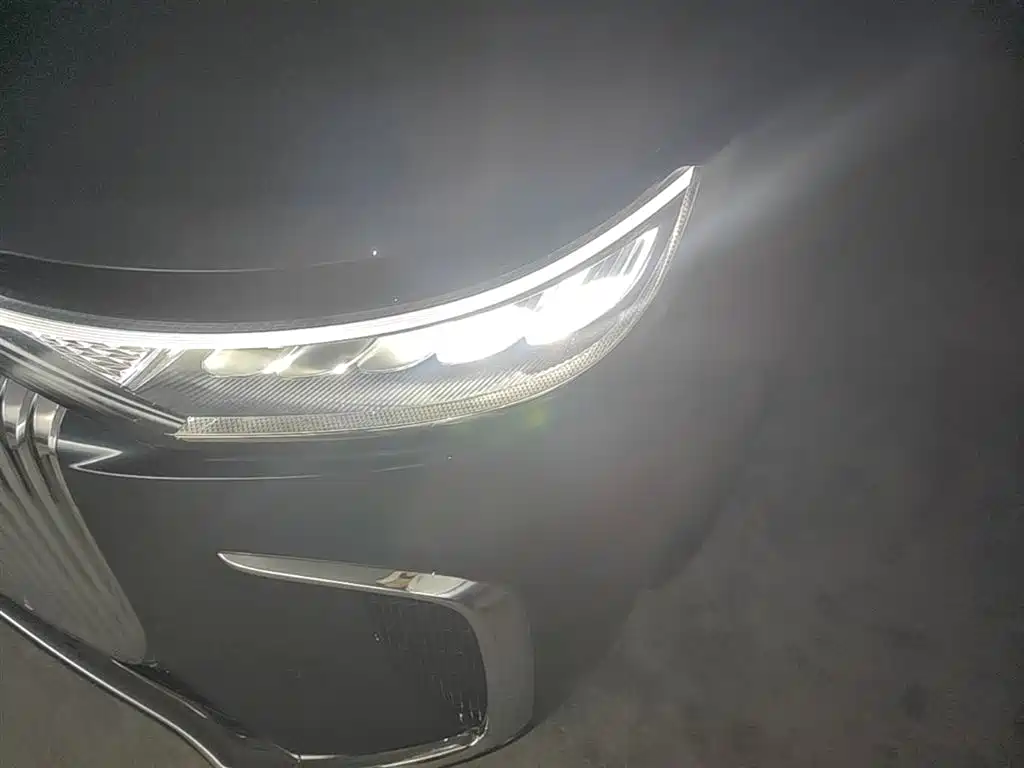 Voyah Auto Voyah Dreamer 2025 PHEV AWD Flagship Kunpeng Edition фото 24