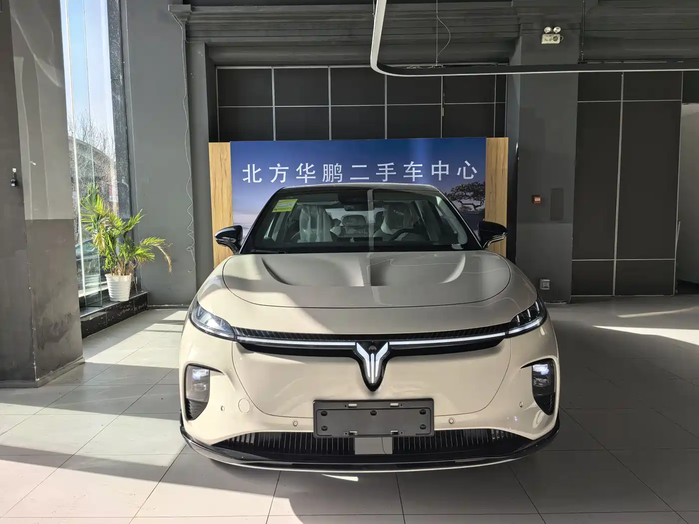 Voyah Auto Voyah Zhiyin 2024 Long Range Smart Edition фото 2