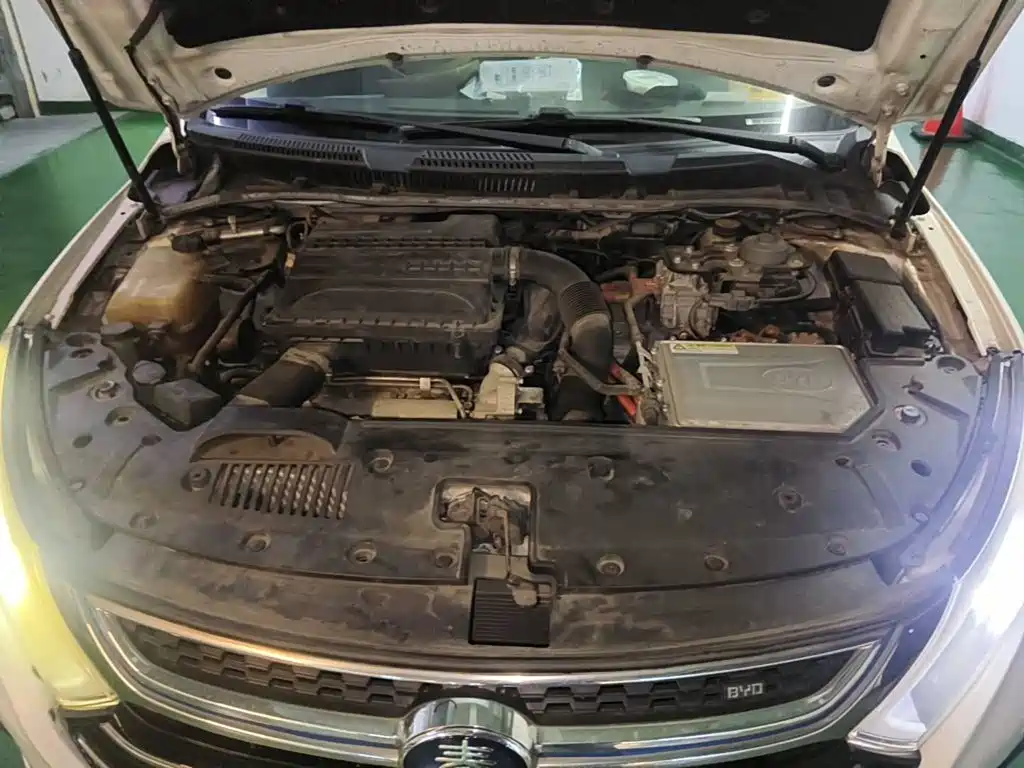 BYD Qin New Energy 2017 2017 1.5T Premium Model