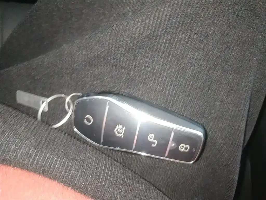 BYD Song Pro New Energy 2025 2nd Generation Smart Drive Edition DM-i 75KM Leading Type фото 9