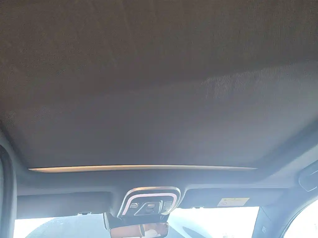 BYD Tang New Energy 2021 DM 2.0T AWD High Performance Genesis Flagship фото 18