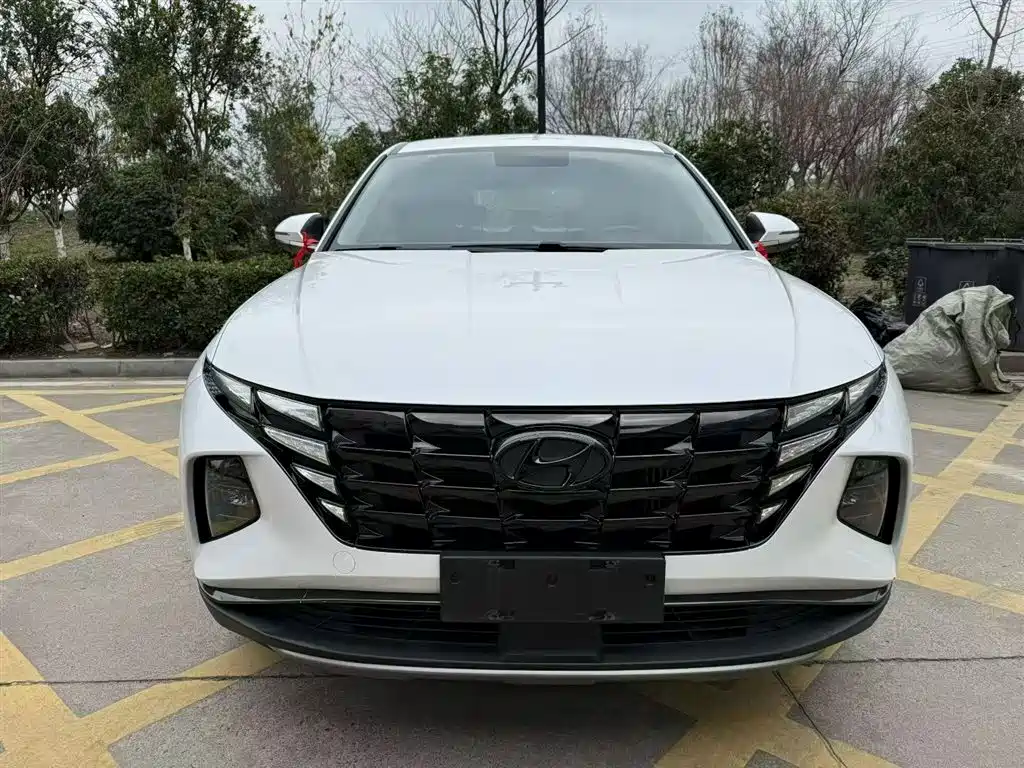 Hyundai Tucson 2021 Tucson L 1.5T DCT GLX Elite фото 11
