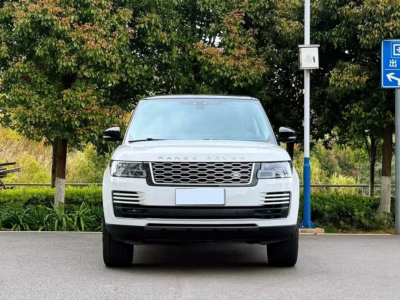 Land Rover Range Rover 2020 3.0 L6 Heritage Extended Edition фото 2