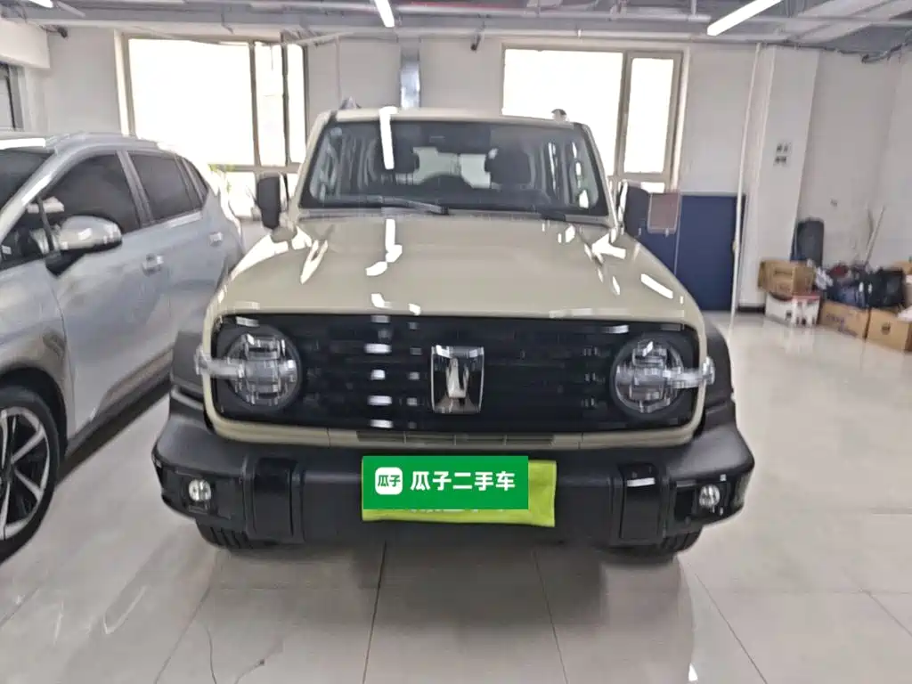 Фото 3 - Tank 300 New Energy