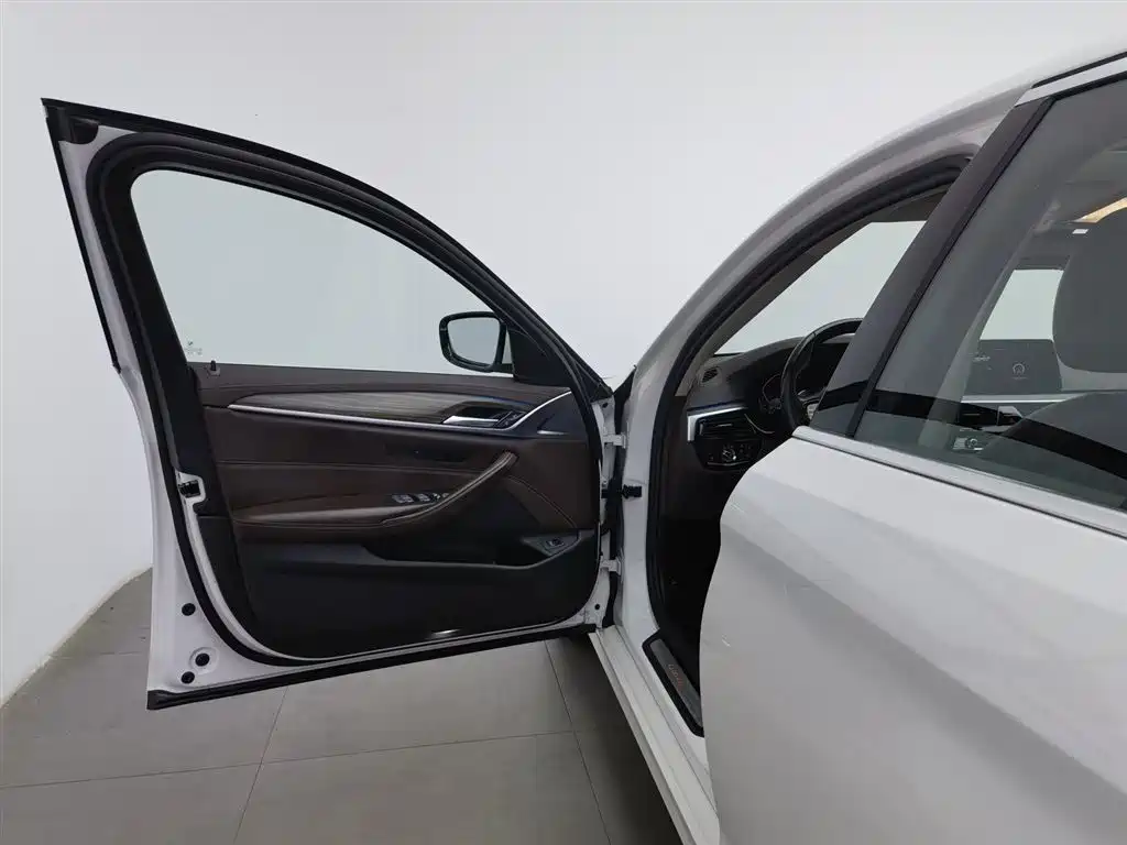 BMW 5 Series 2020 530Li Leading Luxury Package фото 8