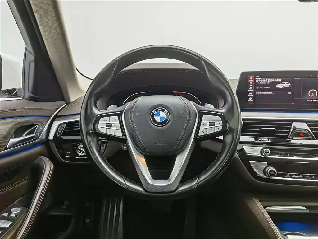 BMW 5 Series 2020 530Li Leading Luxury Package фото 11