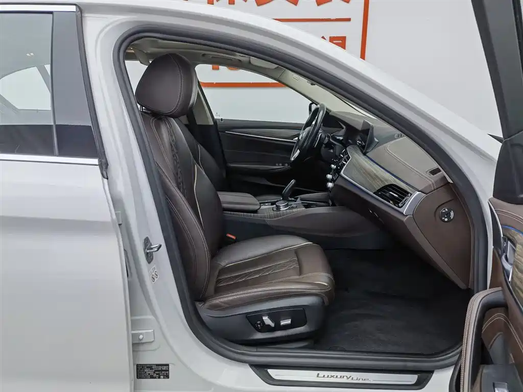 BMW 5 Series 2020 530Li Leading Luxury Package фото 23