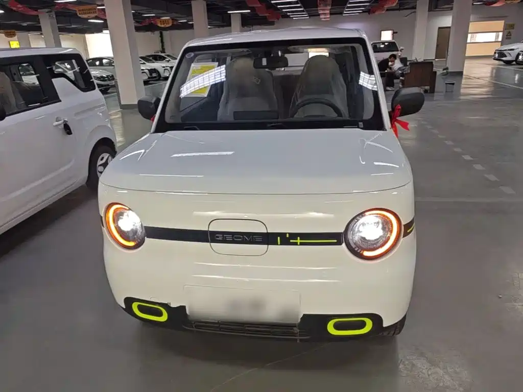 Geely Galaxy Panda 2026 2025 Panda mini 210km Vitality Bear