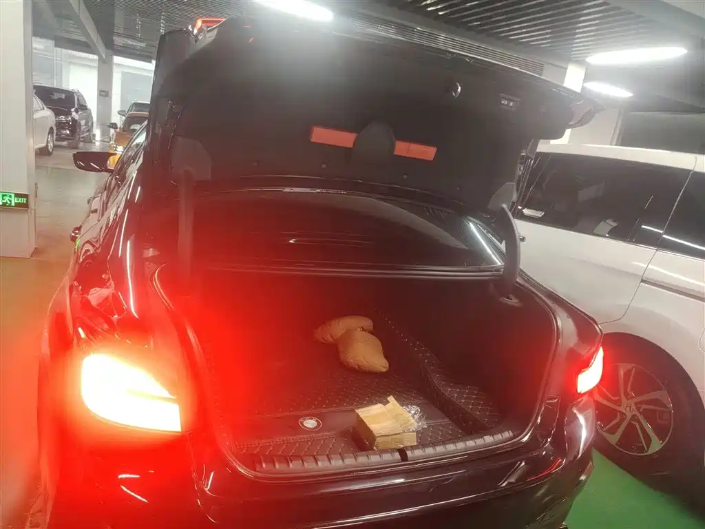 BMW 5 Series 2020 530Li Exclusive M Sport Package фото 15