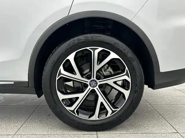 BYD Tang New Energy 2025 DM-i 115KM Prestige Type фото 15