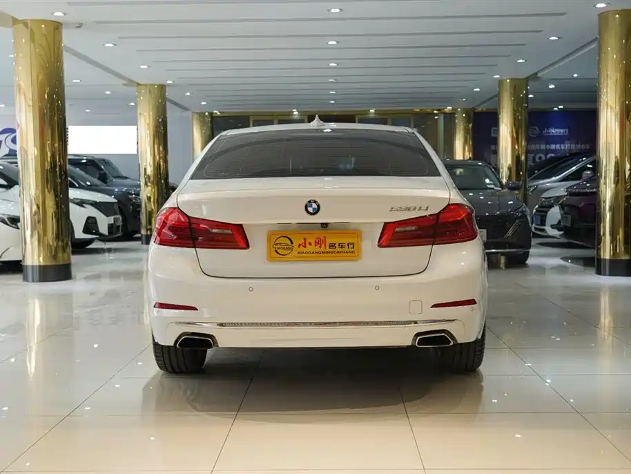 BMW 5 Series 2020 530Li Premium Luxury Package фото 16