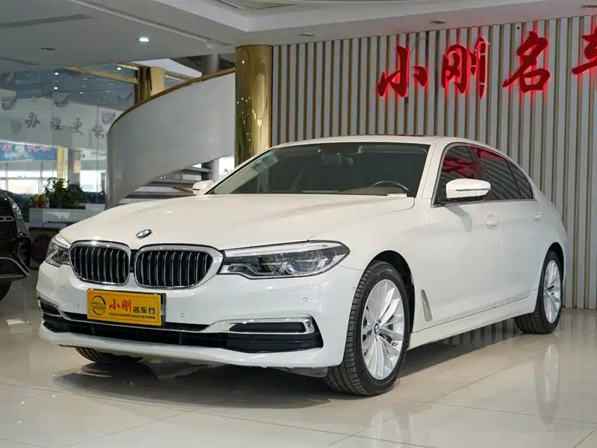 BMW 5 Series 2020 530Li Premium Luxury Package фото 2