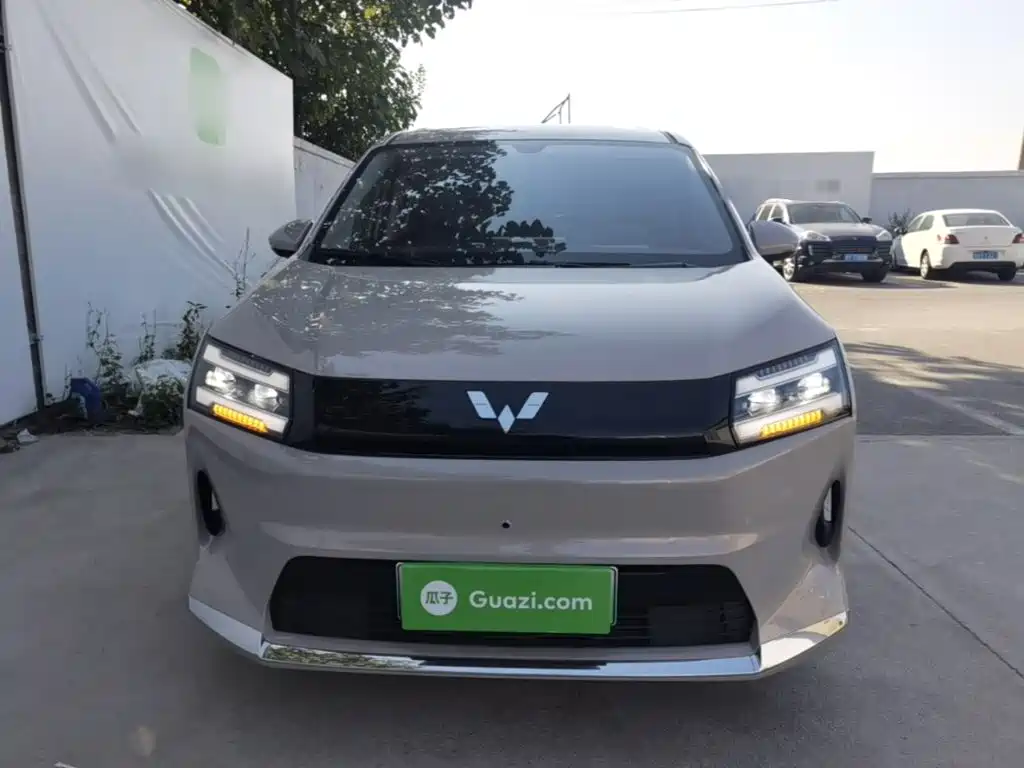 Wuling Motors Xingguang 730 New Energy 2025 2025 Model Pure Electric Base Version